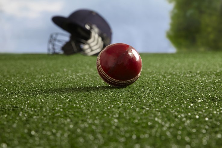 Playrite Synthetic Cricket Surface