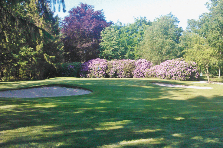 4th hole with the rhododendrons in full bloom