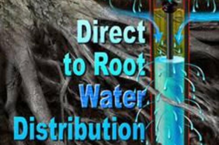 Direct watering to the roots allows any excess water to evaporate quickly