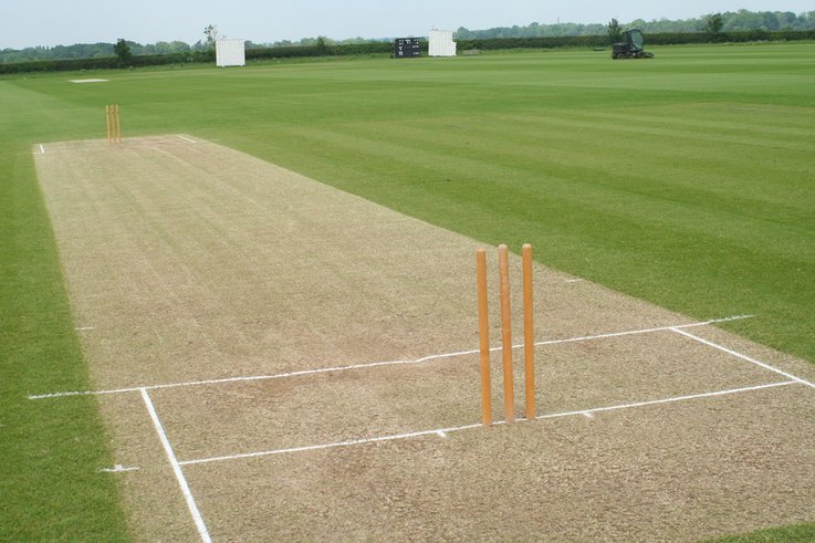 Cricket Pitch Mini Clinics