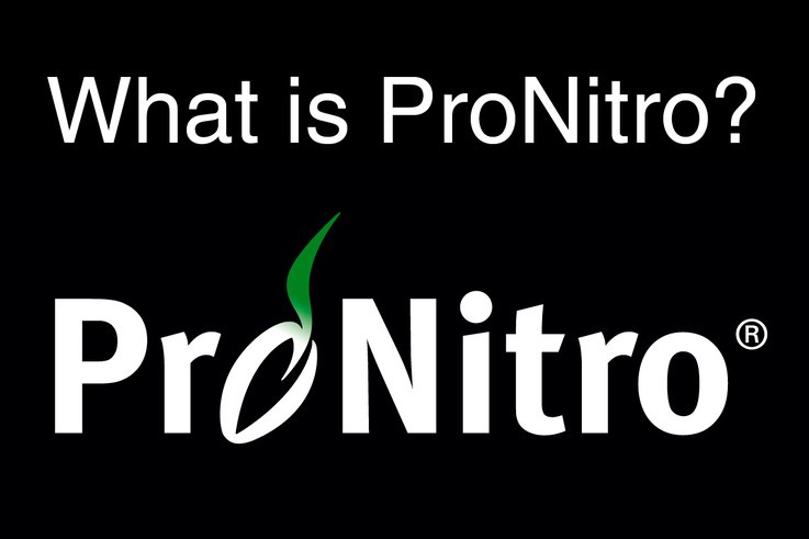 ProNitro Logo