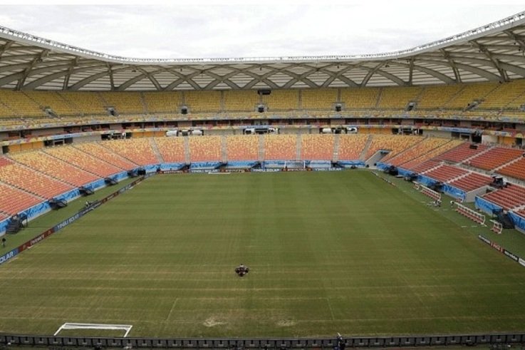 world cup pitch