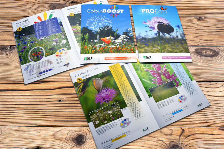 Wild Flower brochures.jpg