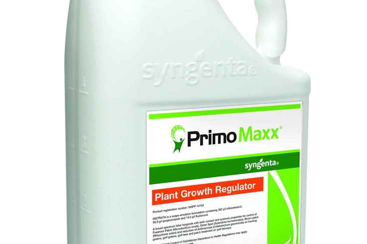 Primo Maxx low res for web