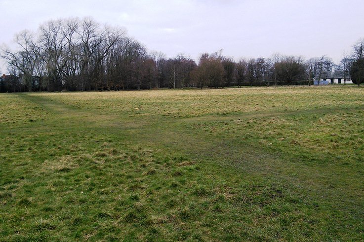 Football pitches reverting to long grass regimes in a Manchester park