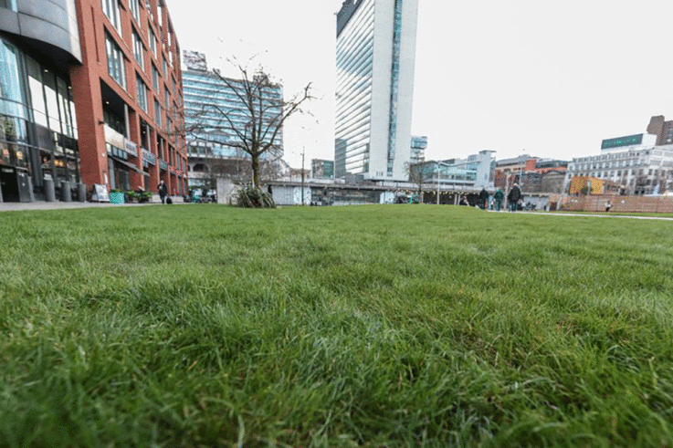 0_Piccadilly-Gardens-grass.gif
