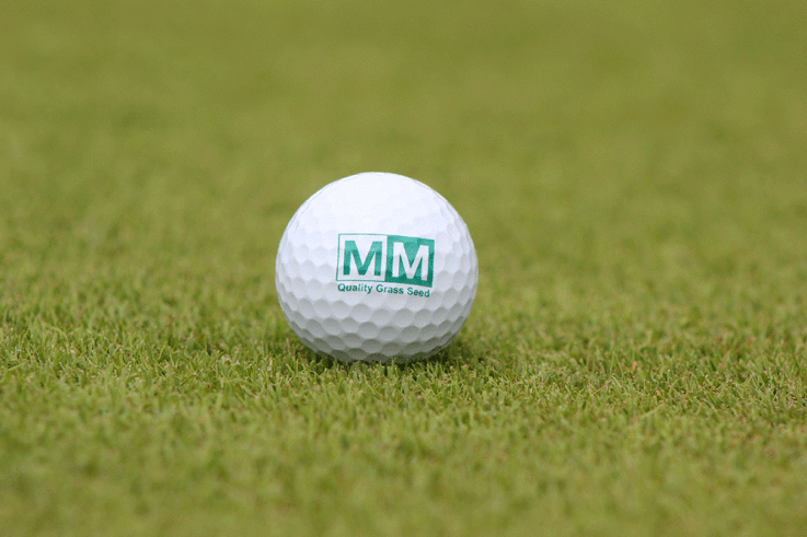 MM-Solutions-at-BTME-2023.gif