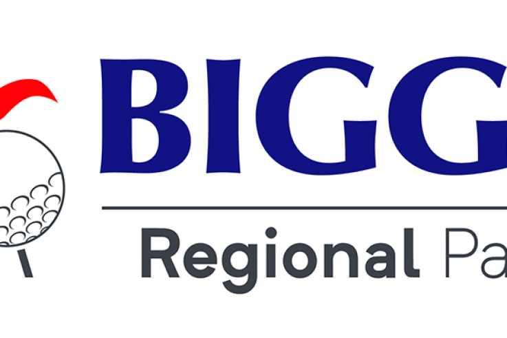 BIGGA-Regional-Patron.gif