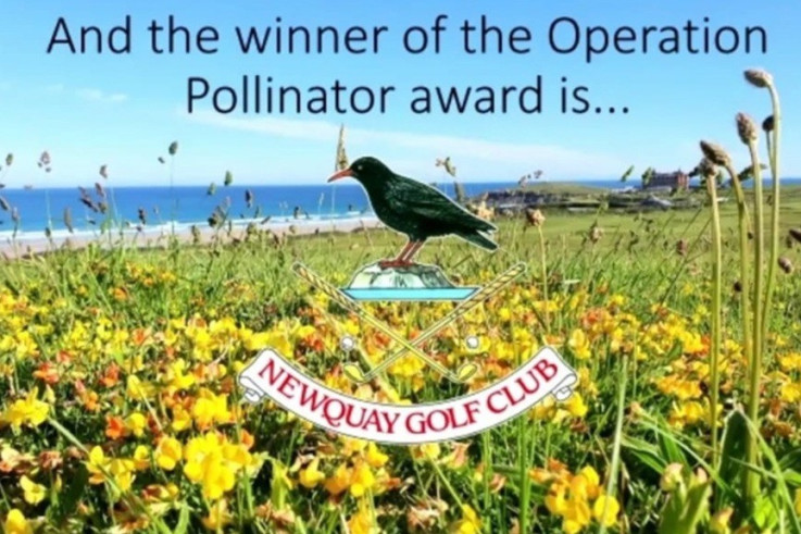 Newquay GC_Operation Pollinator winner.jpg