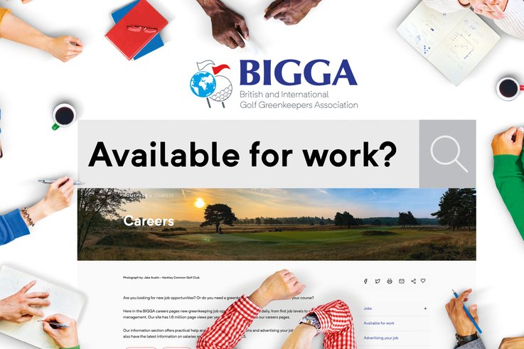 BIGGA-Available-to-work.jpg