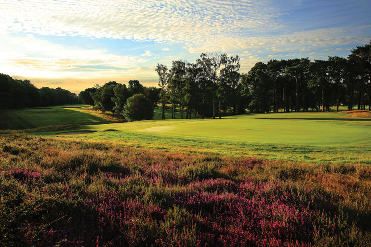 Stoneham-Golf-Club_wildflowers.jpg