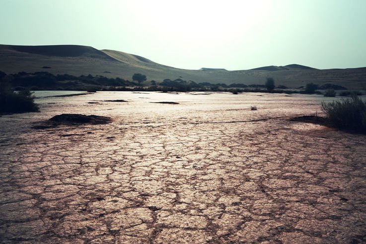 UK summer drought data tag