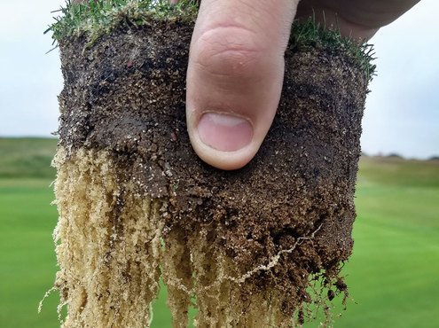 ingrebourne links soil profile