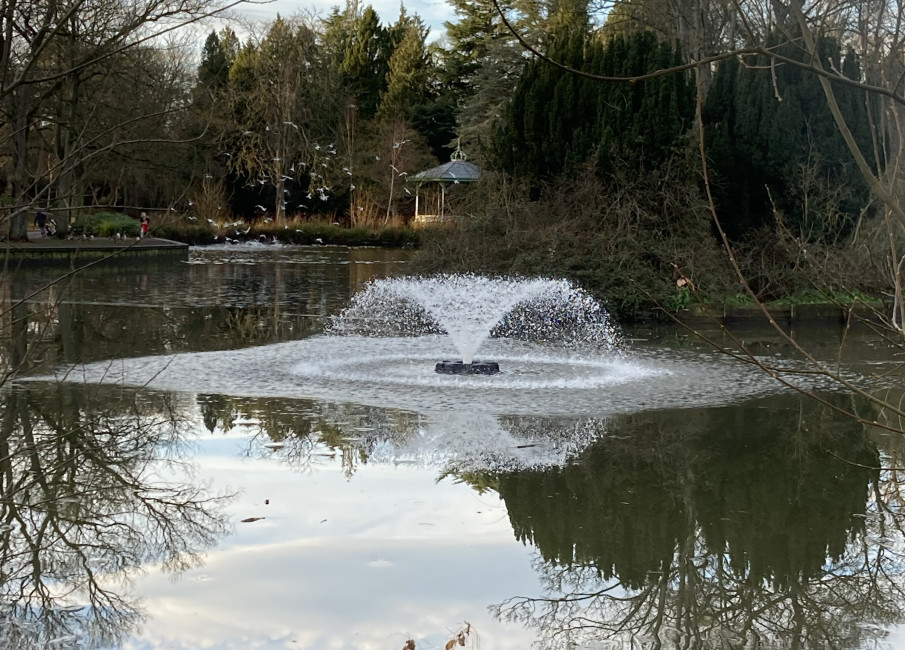 otterbine-brings-new-life-to-south-park-in-darlington-pitchcare