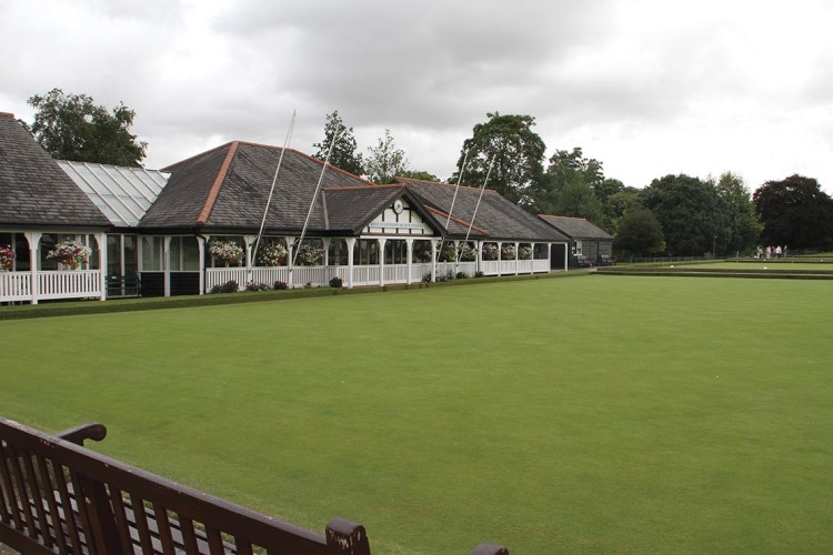 Green Finch spotted at Leamington Spa Bowls Club Pitchcare