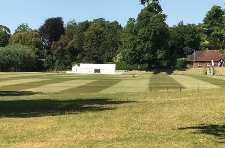 Castle Acre aerial image: Playing field & cricket club