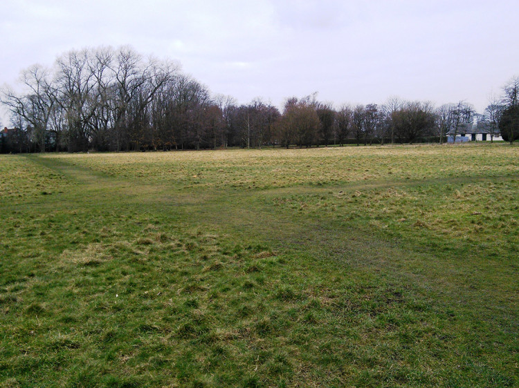 Parks & Greenspaces  Near Northwest Management District