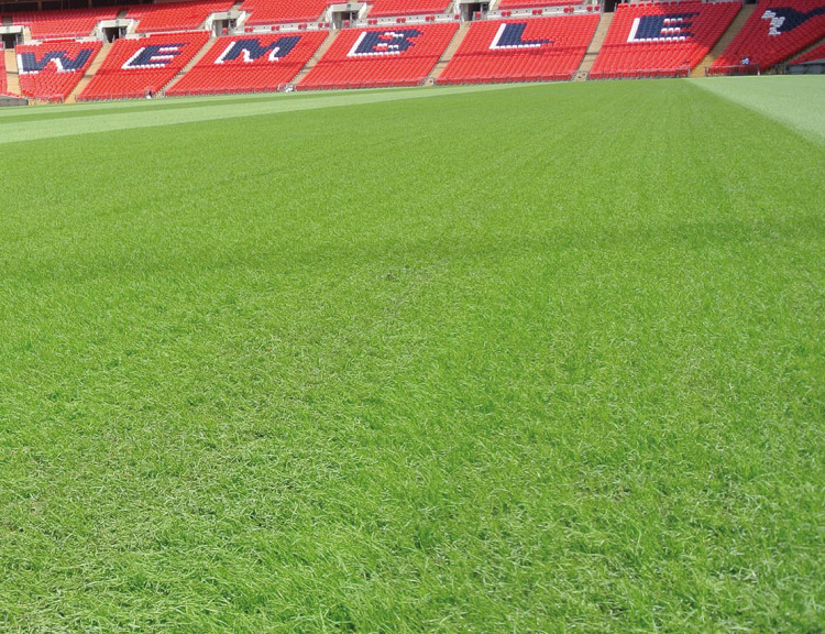 Is Wembley Stadium Turf or Grass?