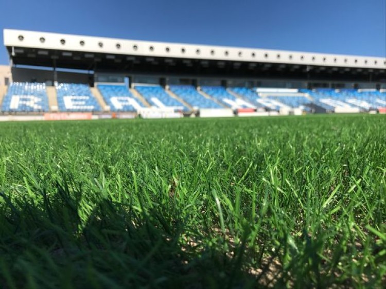 The NFL's AFC Championship Game Played On DLF Turf Grass