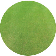 Grass treated with Interface Fungacide