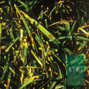 Leaf Spot controlled by Interface