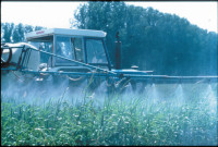 Pesticides.jpg