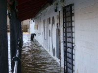 flood 1