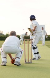 A Notts Sport Cricket Surface.jpg