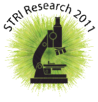 STRI Research logo