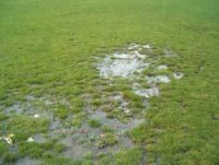 topsoil-water-on-pitch.jpg