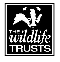 wildlife trusts logo