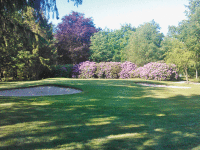 4th hole with the rhododendrons in full bloom