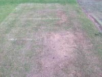 newport-cricket-worn-ends.jpg