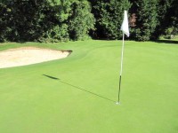 A well maintained green cut at 2mm.jpg
