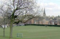 Whitgift-School-Cricket-squ.jpg