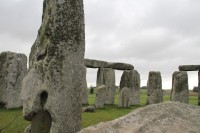 Stonehenge Lichen