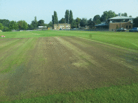StPauls Square solid tined, prior to scarifying
