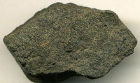 Peloidal phosphorite Phosphoria Formation Simplot Mine Idaho