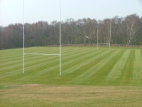 Finished new pitches #1