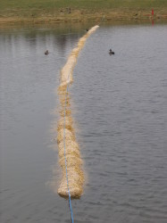 IMG_4041  Barley straw bale for algae control  Chelsfield Lakes.JPG