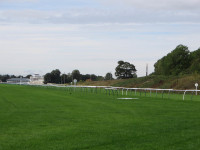 home straight both courses