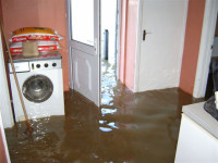 flood 4