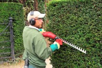 ELECTRIC HEDGE TRIMMER (1)