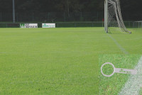 Football-pitch-photo-from-H.jpg
