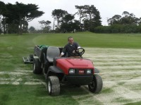 brushing in the sand after top dressing