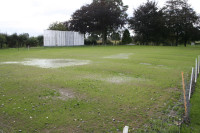 cricket wet square