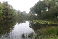 lilleshall golf course water.jpg