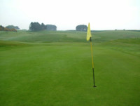 delemere-pic-6-green.jpg