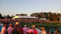 everyone in pink on 18 for sunday mothers day