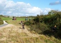 Tenby Cutting back rough grass and blackthorn